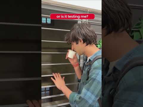 When Debugging Becomes Philosophical