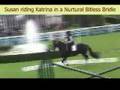 Canadian horse bitless at spruce meadows