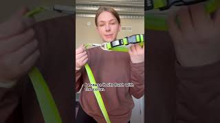 Why I Don’t Buy Hanging ID Tags for my Dogs