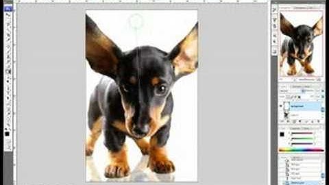 Photoshop CS3: Reflections & Text : Photoshop CS3 Reflections: Adding a Color Background