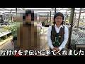 某チャンネルのあの方が片付けを手伝いに来てくれました【カーメン君】【園芸】【ガーデニング】