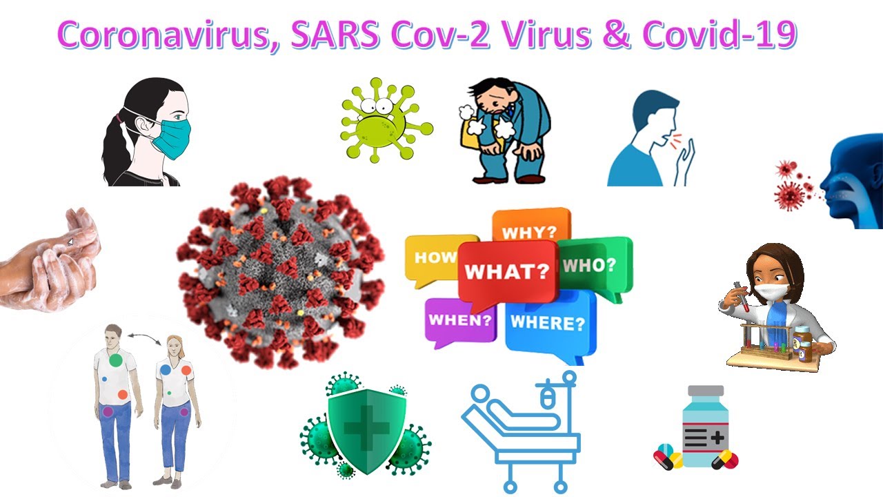 Coronavirus Disease 2019 (COVID-19) | SARS COV-2 Virus | What, how, why, when...all Answered