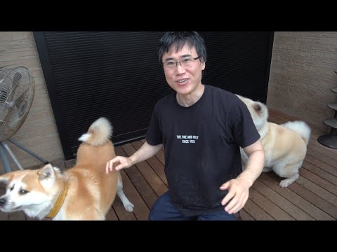 【犬飼ってる人必見！】犬が喜ぶことベスト３