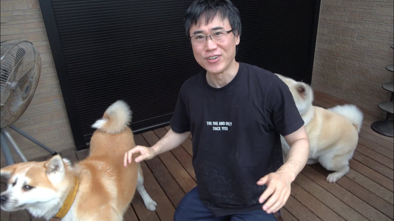 A must-see for dog owners!] Top 3 things that make dogs happy