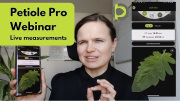 Webinar over slimme bladoppervlakmeting en stikstofbeoordeling met Petiole Pro