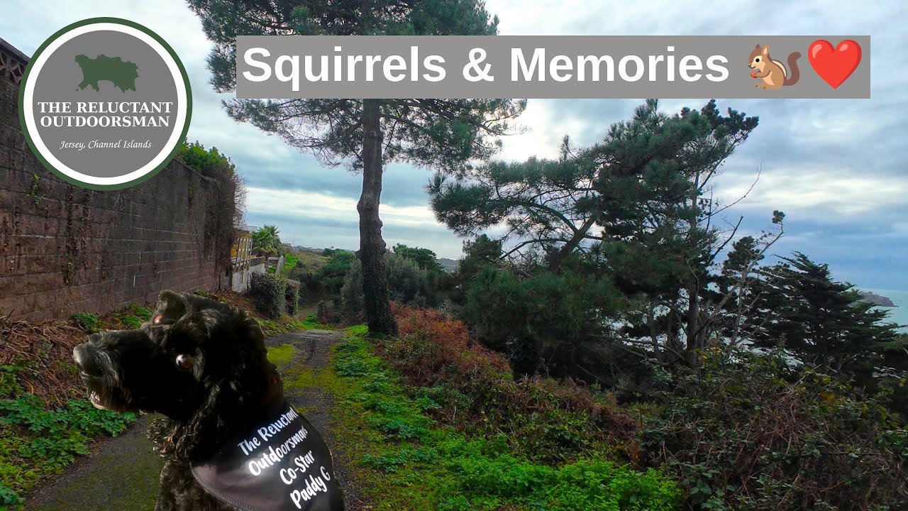 Белки, воспоминания и Вест-Парк – прогулка по укромным уголкам | Часть 2 🐿️🏡