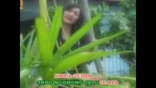 TARLING'TIBA TANGI