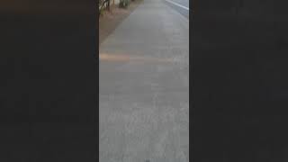 Fairfield ca tunnels trafficking