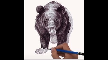 #srilanka#foryou#❣️#💔#art #fashion#photography#love #photo#live#tiktok #video#pencil#bear#youtube