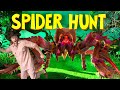 We're Going on a Spider Hunt | 🕷️ Educational Adventure with Explorer Riley