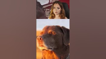 We are so Cooked in Days Gone 💀