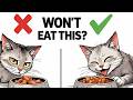 Why Your Cat REFUSES Wet Food (Fix It FAST)