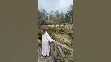 spring in melbourne (on the few days it has been sunny 😂) 🌳 🌸 🐝 #melbourne #australia #spring