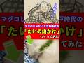 マグロじゃなくてタイ!江戸時代の名物「山かけ」つくってみた #江戸時代 #佐渡名物 #再現料理 #百珍 #shorts 音声 by 動画制作会社VIDWEB(https://vidweb.co.jp/
