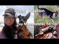 Athletic Toy Manchester Terrier Adoption - New Cast of Character の動画、YouTube動画。