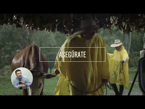 Comercial Temporada de Lluvias