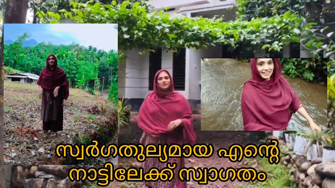പ്രകൃതിരമണീയമായ എൻ്റെ ഗ്രാമം... ആർക്ക് വേണമെങ്കിലും ഇങ്ങോട്ട് വരാൻ അവസരം 😍😍#bismivlog#