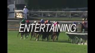 Opening Day - The Great Race Place Returns!