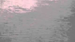 MVI_6132.AVI