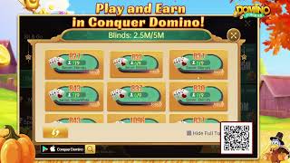 Conquer Domino Stream 537 screenshot 3
