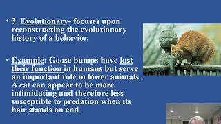 Distance BN Lecture 3 What is behavioral neuroscience video