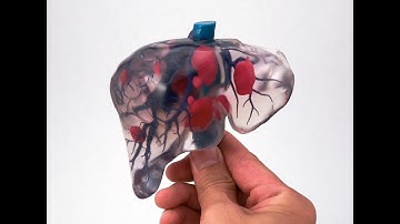 Incredible breakthrough in medicine: 3D printed organs are a real thing now!