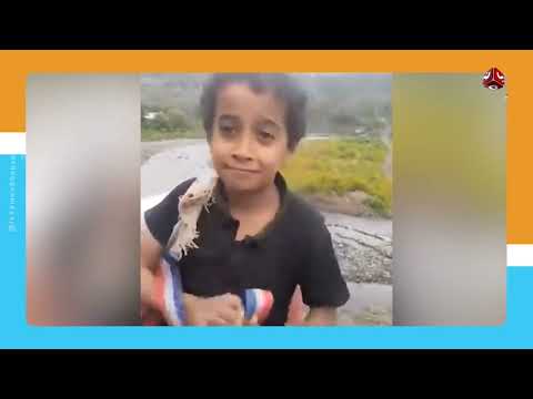 عمالة الأطفال في اليمن: مأساة تتفاقم وتسرق الطفولة