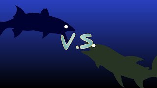 great barracuda vs goliath tigerfish
