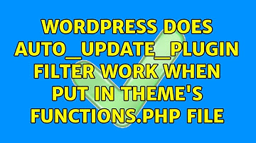 Wordpress: Does auto_update_plugin Filter Work When Put In Theme