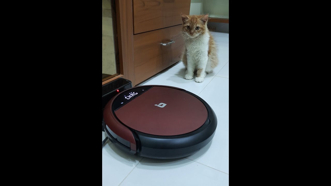 Finally it's ready !!! How to use iBell 360 Robotic Vaccum Cleaner 🤔