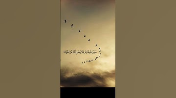 ولا تخذنى يوم يبعثون 💜 #تلاوة_خاشعة #اكسبلور #المصحف #quran #لايك #القرآن_الكريم #الرحمن #راحة_نفسية
