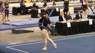 Regionals 2014 Floor