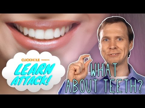 What Is The Meaning Of Teeth?