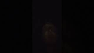 Daniel Larson Archives - "today was a massive miscommunication and failure 🤯" - 28/9/23