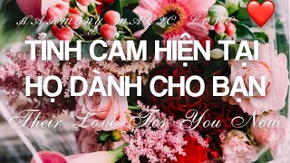 Chọn 1 tụ bài: [BIGLOVE]💞TÌNH CẢM HỌ DÀNH CHO BẠN HIỆN TẠI NHƯ THẾ NÀO