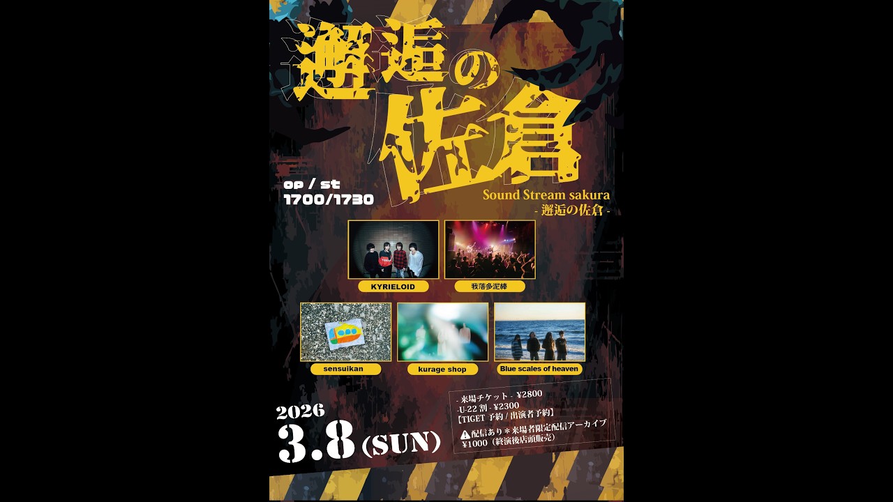 2026.3.8 LIVE配信 (一部おすそ分け) - YouTube