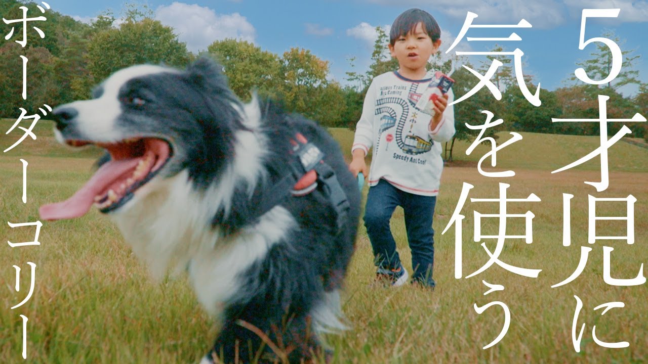 ５才児並のIQの犬と５才児を遊ばせてみた結果…！