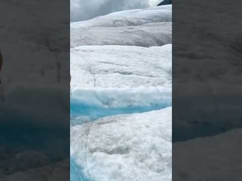 ვიდეო: ჰაბარდის მყინვარი იაკუტატის ყურეში, ალასკა