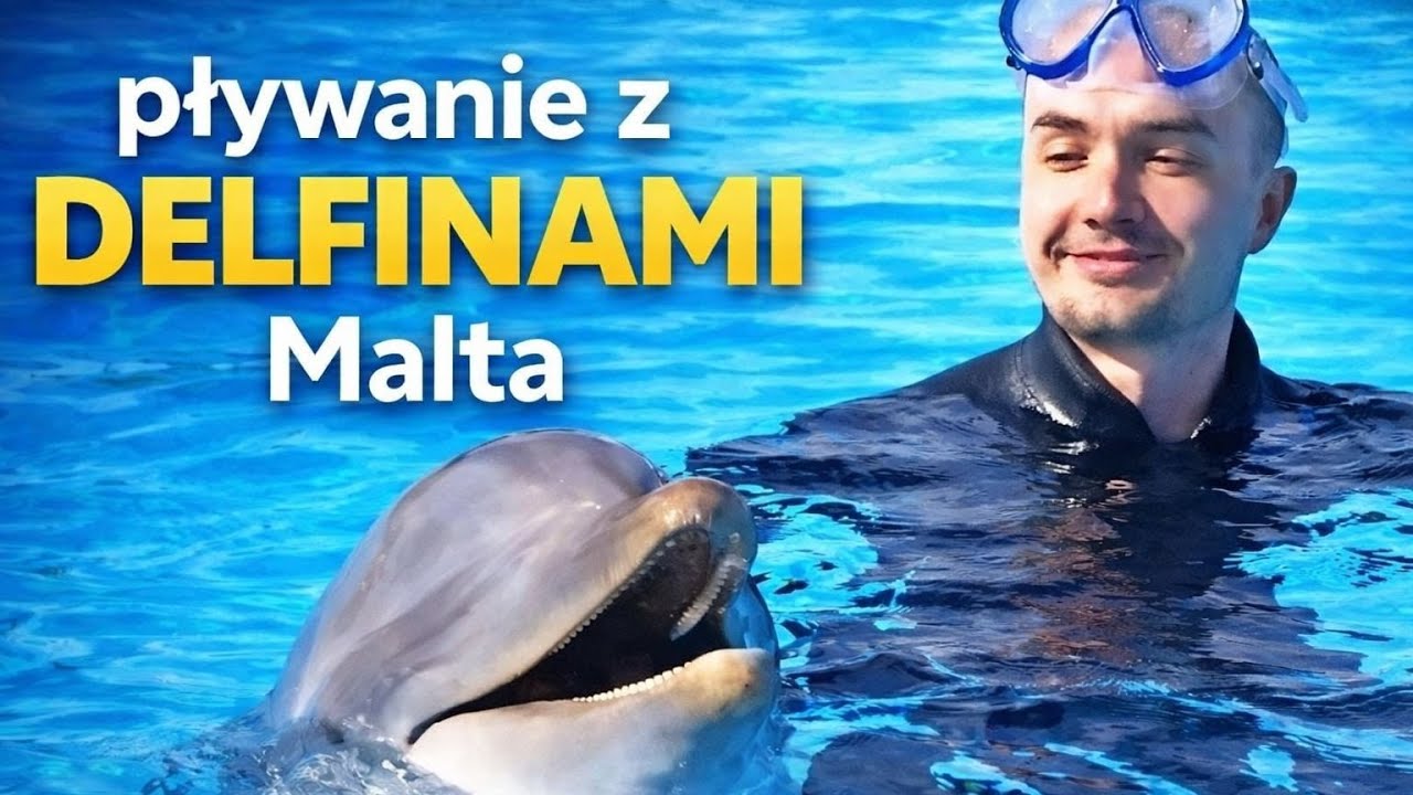 Pływanie z delfinami - Malta 2018 ☀️
