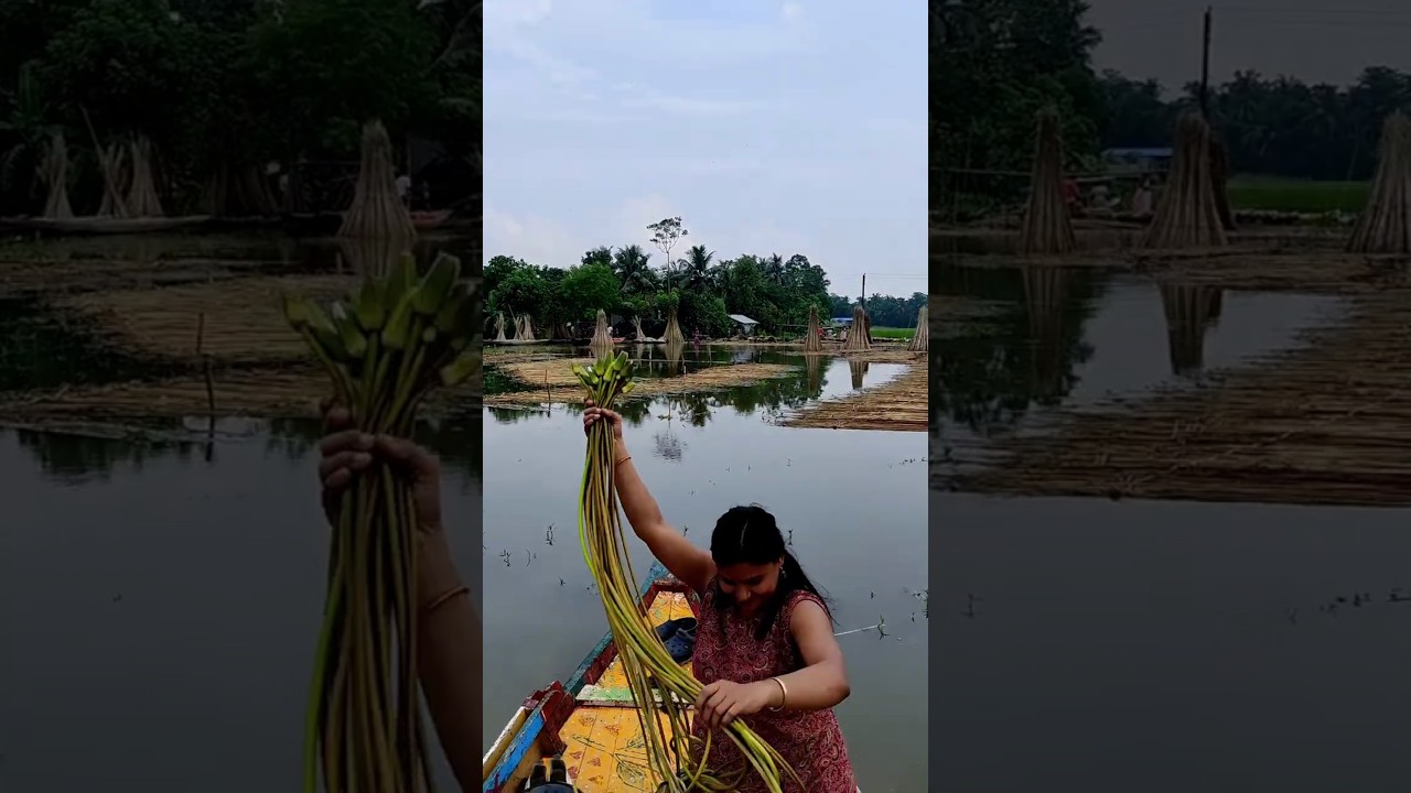 A cloudy day, some time with nature | peaceful cloudy weather vibes