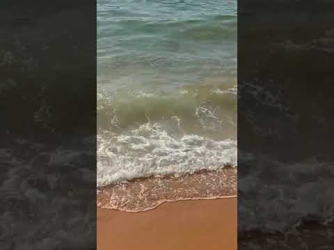 فريد الاطرش يأ احلى شئ فى الكون