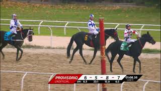 Vidéo de la course PMU TRANSPORTES VINA DEL MAR H.