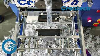 Screw Pouch Packing Machine | Screw With Wall Plug Packing Machine