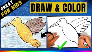 Dove Coloring Pages - Draw and Color a Dove (How to draw a Dove Step by step)