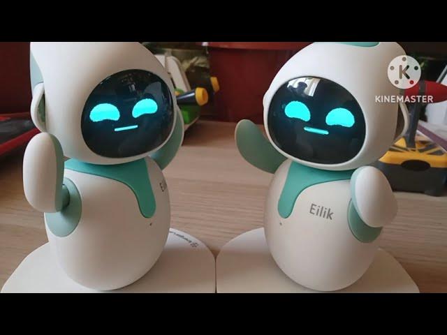 eilik #eilikrobot #robot #deskinspiration #desksetup #desktour