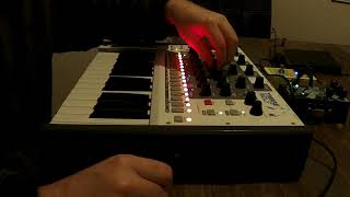 Timbre Wolf noodling