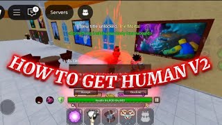 How To Get Human Race V2 In King Legacy Roblox