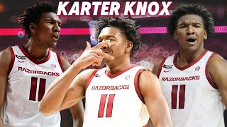 Karter Knox Arkansas Basketball 2024-2025 Highlights