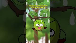 Hại Người Thành Ra Hại Mình .... Ạthìnhvietsub