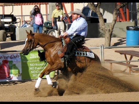 Noble Fantasy - 2010 Arabian Reining Futurity Cham...